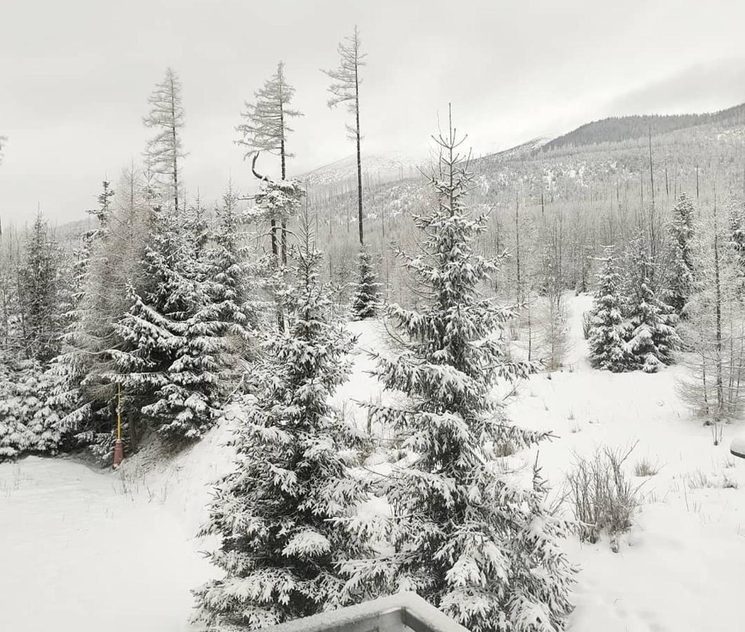 Ubytovanie Pod Gerlachom Vysoke Tatry Ngoại thất bức ảnh